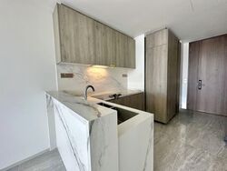 Leedon Green (D10), Condominium #554417941